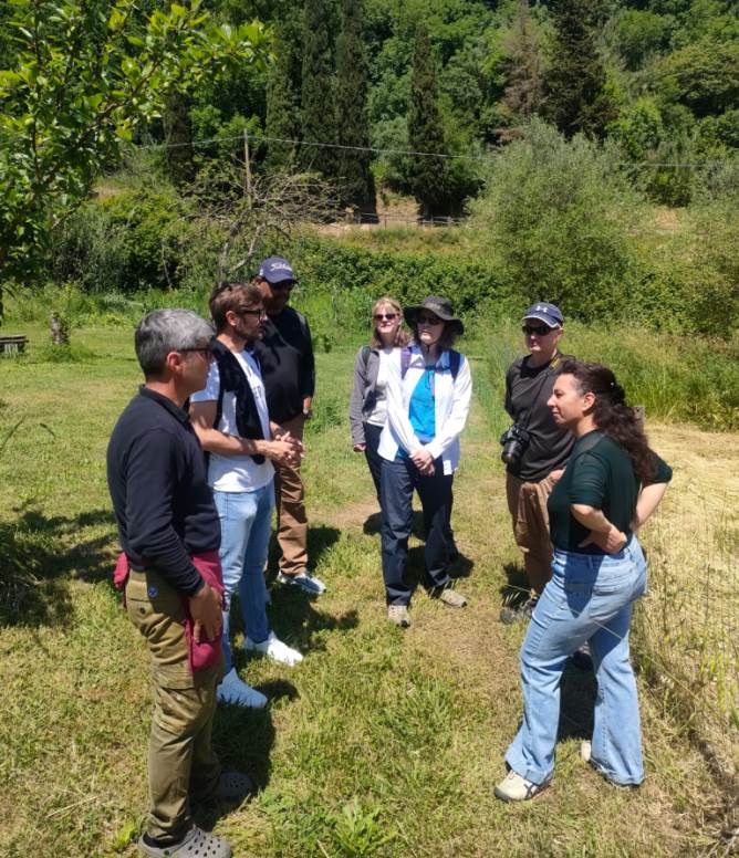 Saffron farm experience in Casciana Terme