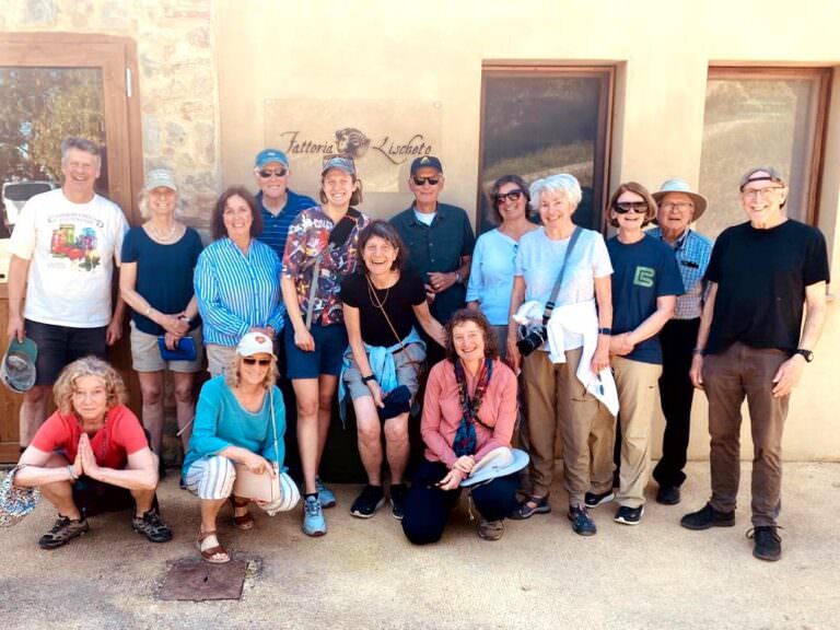 Typical cheese tasting experience in the area of Volterra