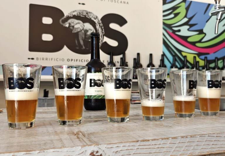 Beer tasting experience at local brewery near Volterra