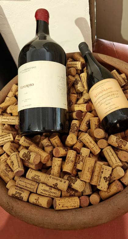 Guided visit to a local winery with wine tasting