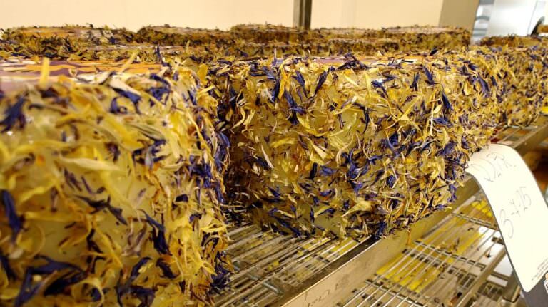 The company Busti making the best cheeses