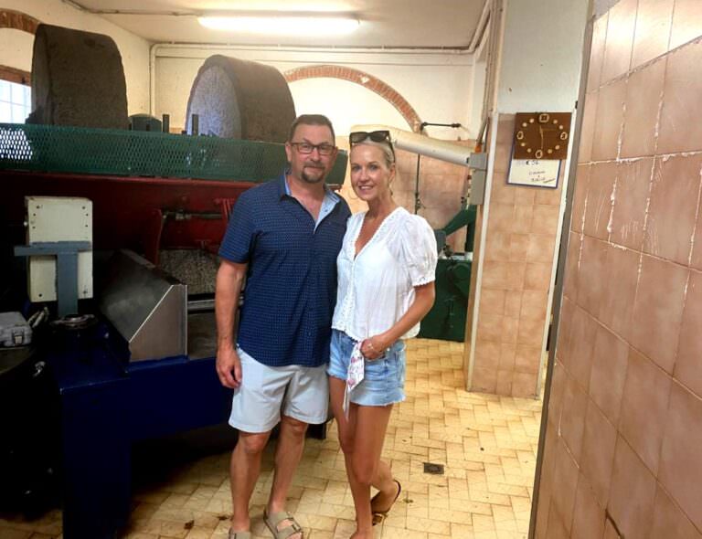 Guided olive oil tasting experience at a local olive mill