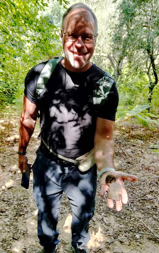 Summer black truffle found in the wood near Volterra