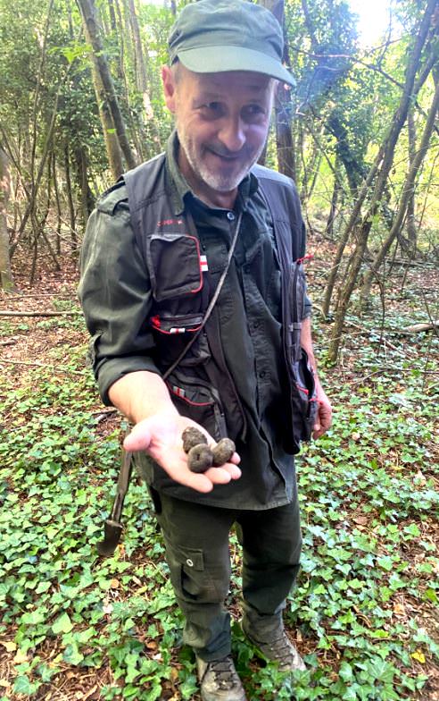 Walk in the wood with Daniele and his dogs looking for black summer truffles