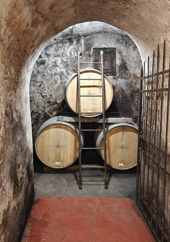 Ghizzano wine tour with tasting of their wines