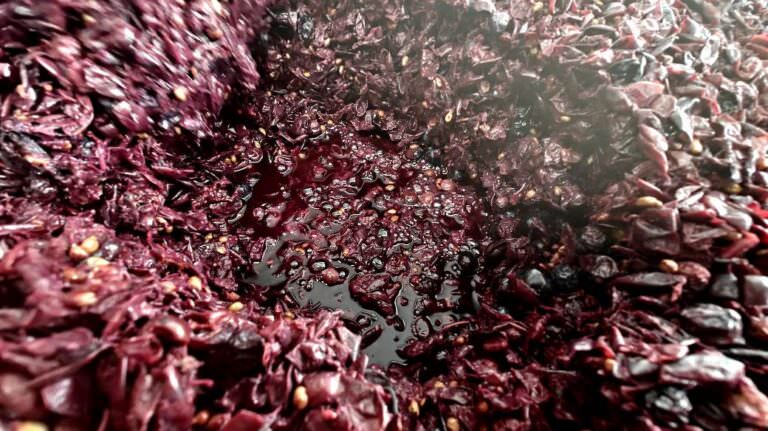 The mosto fiore juice