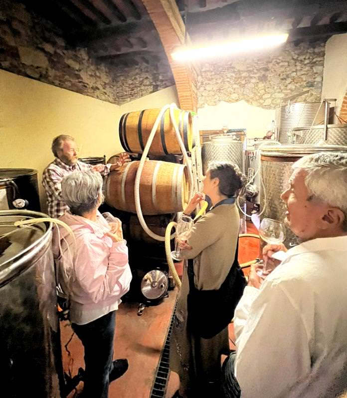 guided wine tasting experience with Arianna & Friends