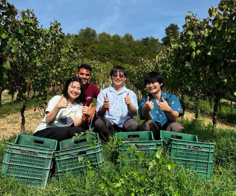Arianna and Friends offers exclusive wine tours with tasting of the best wines