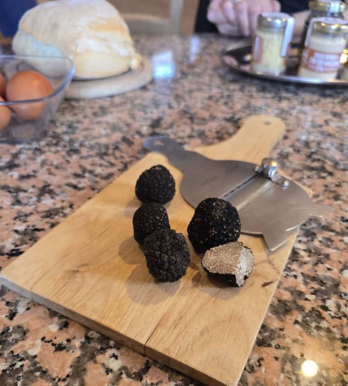 Black truffles just found