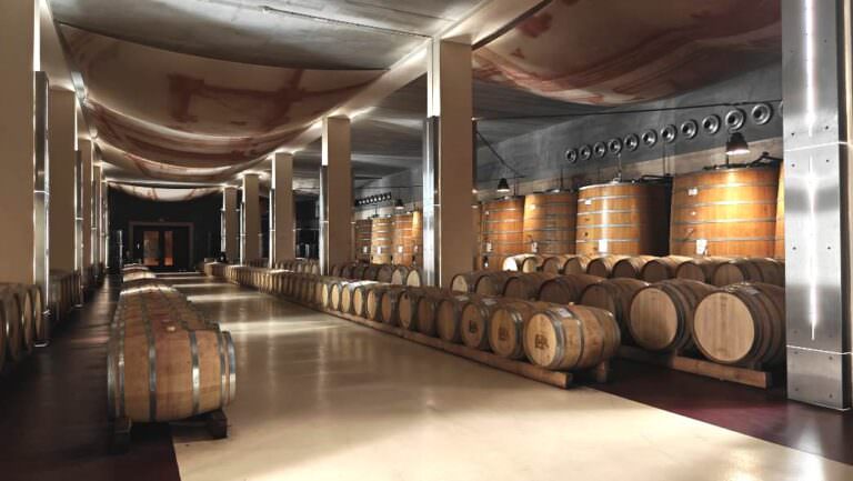 Barrique room at a local winery near Terricciola