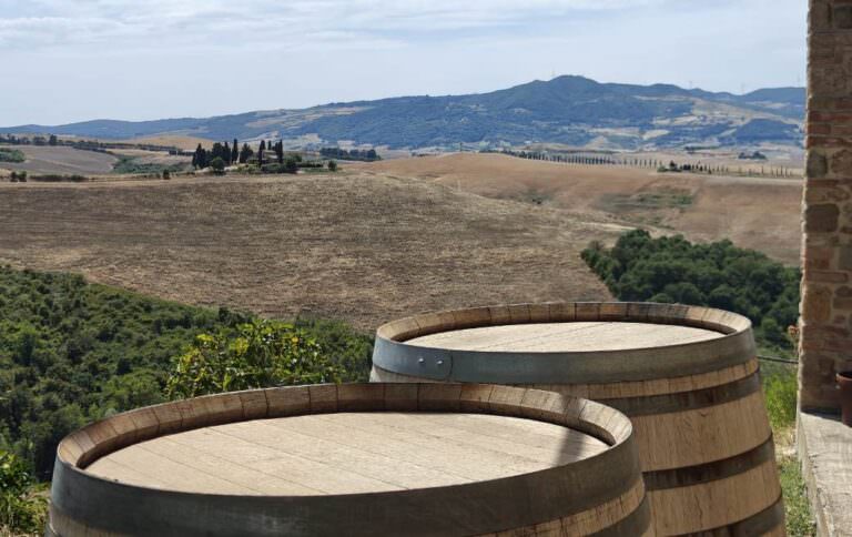 Private cheese and wine tour in the area of Volterra with chese and wine tasting