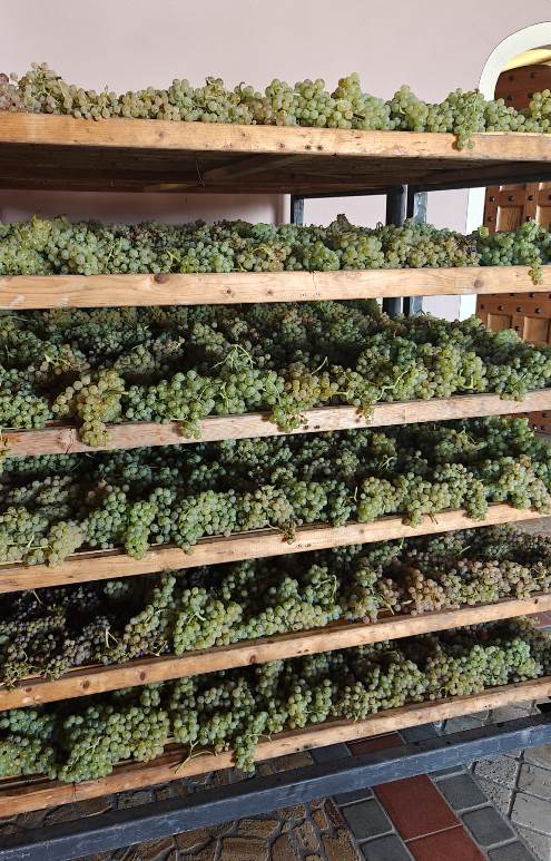 The best sweet wine in Tuscany Vin Santo