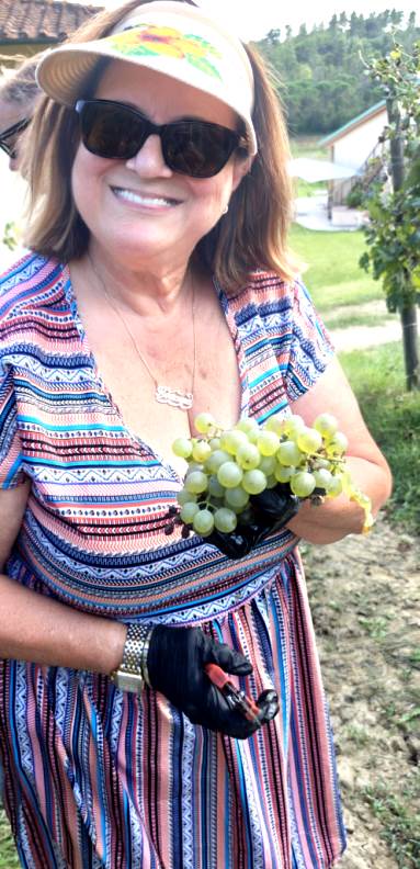 The best white wine vermentino