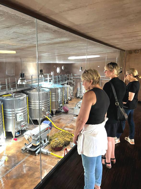 Wine and art at the winery near casanova